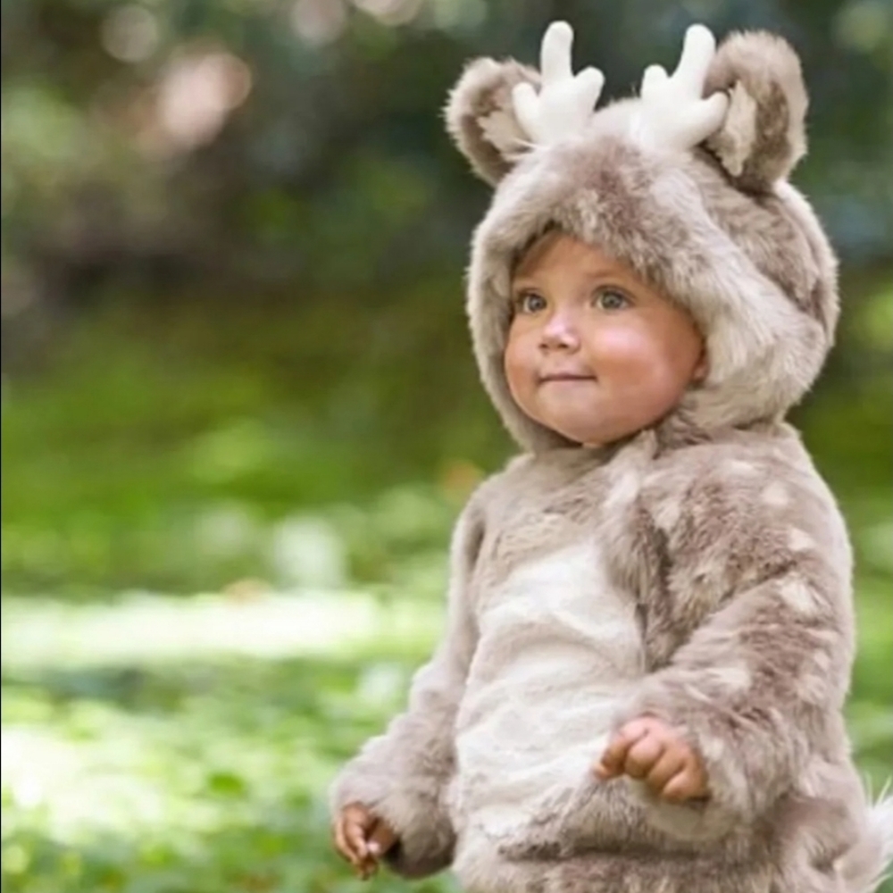 Pottery barn kids baby fawn Halloween costume